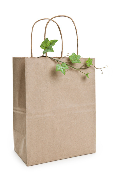 Brown paper shopping bag and plant - Foto, afbeelding