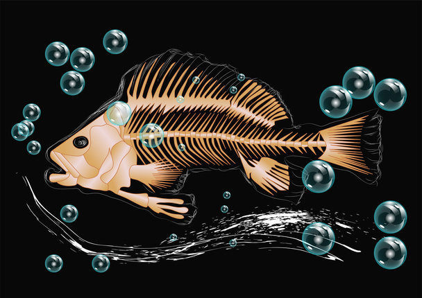 fish skeleton and bubbles - Vector, Image