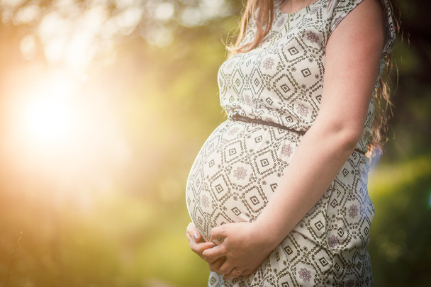 pregnant belly - Фото, изображение