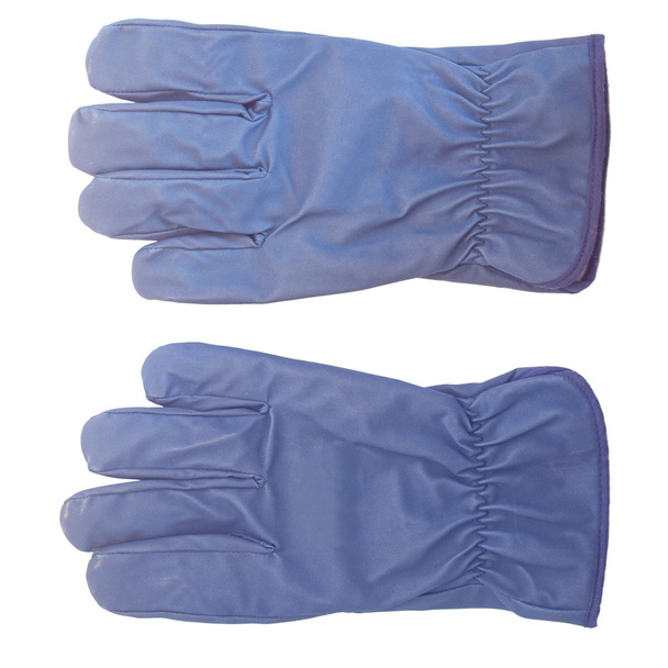 Gloves picture - Photo, Image