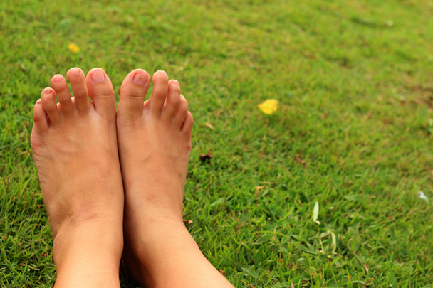 ноги на зеленій траві на газоні
. - Фото, зображення