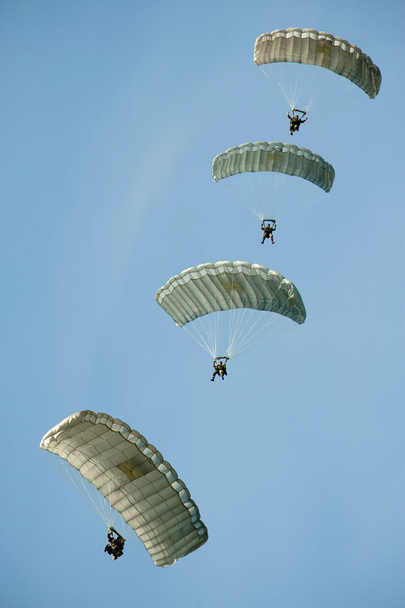 Paratroopers - Photo, Image