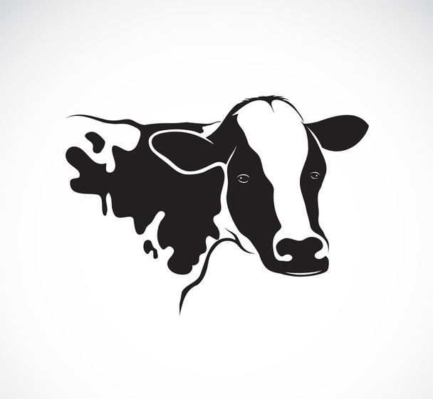 Vector image of an cow on white background - Vector, Image