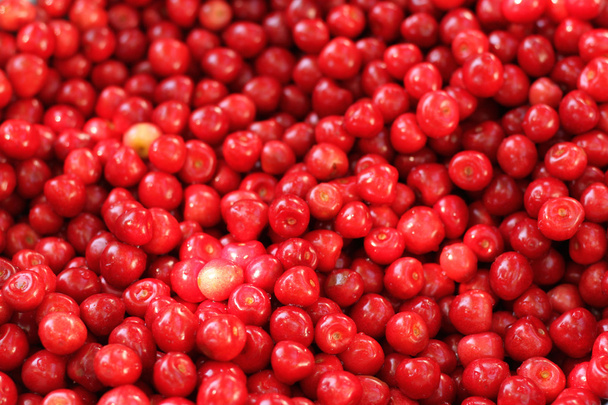 Cherries - Photo, image