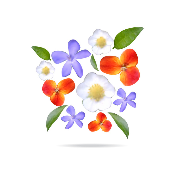 Ορισμός ρεαλιστική λουλούδια και φύλλα. Ακουαρέλα φυσικά στοιχεία - Φωτογραφία, εικόνα