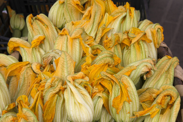 Zucchini-Blüte - Foto, Bild