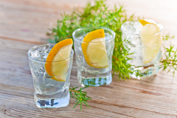 Gin with lemon and ice  - Photo, Image
