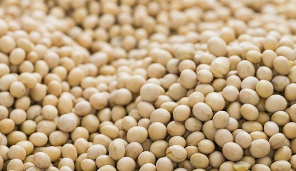 Soy Beans background - Foto, immagini