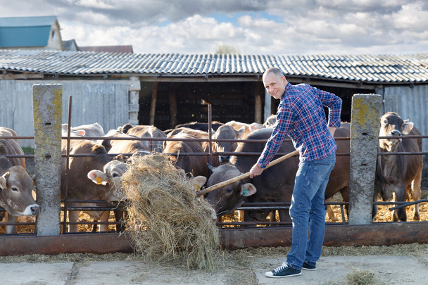Male rancher in a farm - Valokuva, kuva