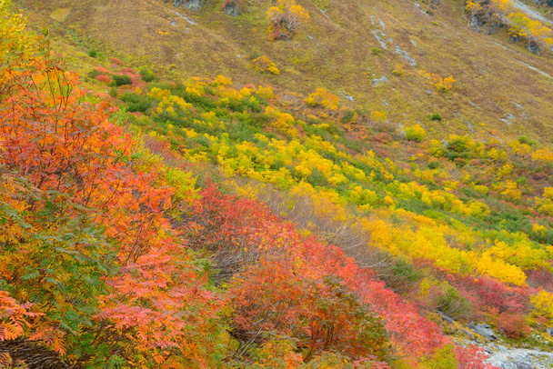 Краєвид півночі Японії Альпи - Фото, зображення