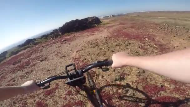Bicyclist on the bike - Video