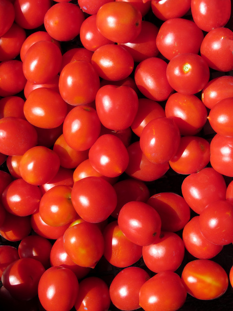 Tomatoes background - Fotoğraf, Görsel