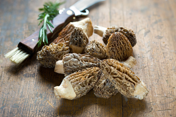 Fresh Morelle Mushrooms - Photo, Image