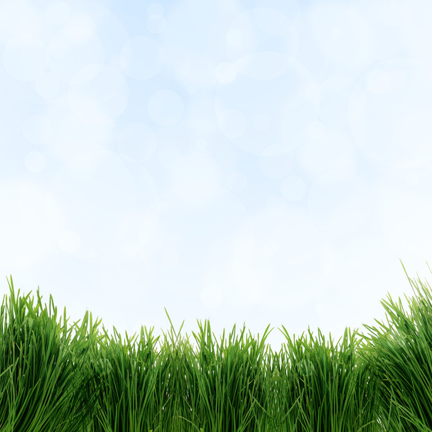 green  grass texture on blurred  background - Photo, Image