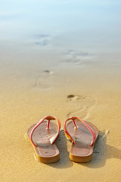yaz tatil kavramı. bir kum okyanus plaj floplar flip - Fotoğraf, Görsel
