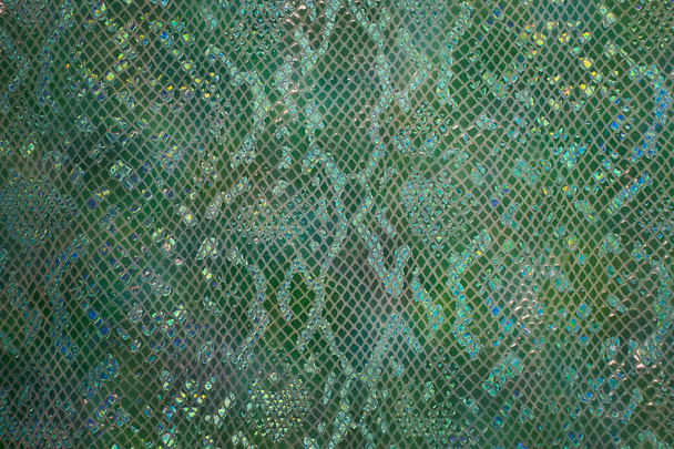 pele de cobra verde
 - Foto, Imagem