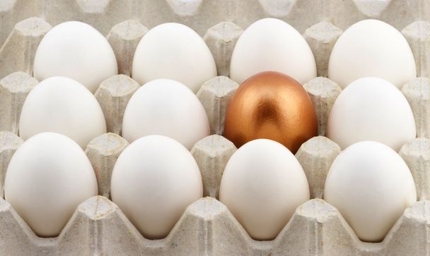 Düzenlenmiş altın yumurta - Fotoğraf, Görsel