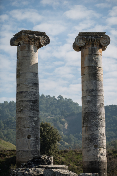 Ruinen des Artemis-Tempels - Foto, Bild