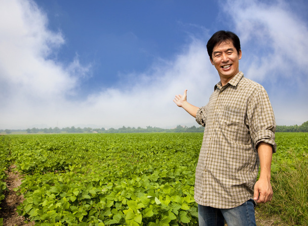 Felice contadino asiatico mostrando la sua fattoria
 - Foto, immagini