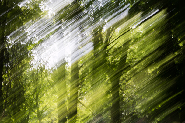 abstracte lichte patronen op de achtergrond wazig groen bos - Foto, afbeelding