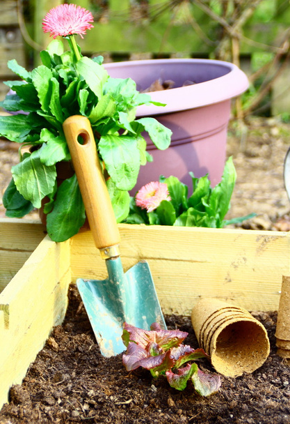Zelenina, salát bio a nástroj v kuchyňské zahradě - Fotografie, Obrázek