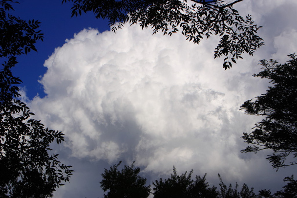 vihar felhők - Fotó, kép