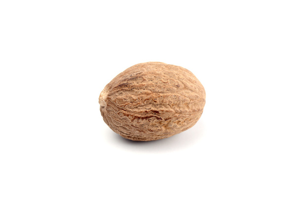 one Nutmeg isolated on white background - Фото, зображення