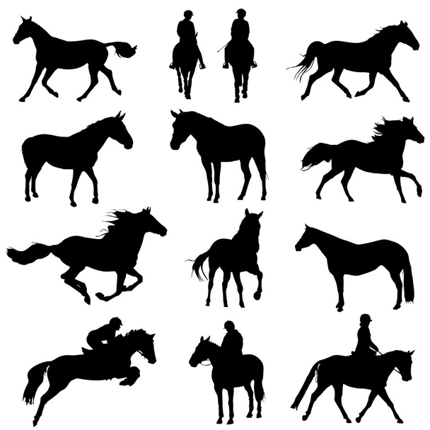 Conjunto de cavalos
 - Vetor, Imagem