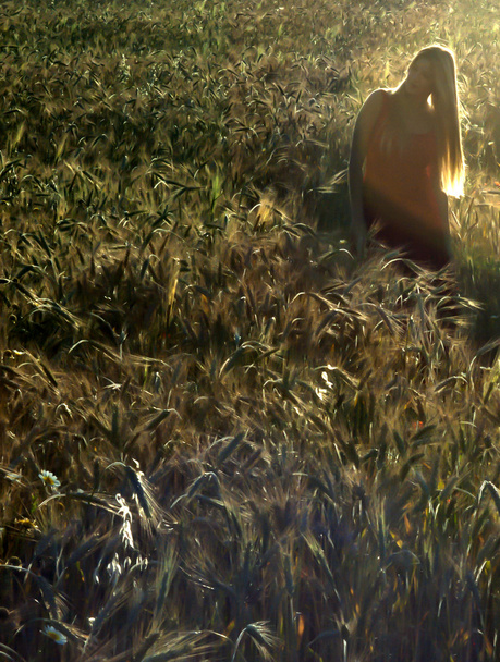Красива блондинка в пшеничному полі на заході сонця
 - Фото, зображення