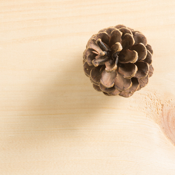 Pijnappel op hout - Foto, afbeelding