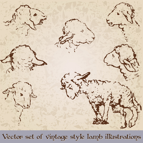 Vintage style cute lamb illustrations - Vector, Image