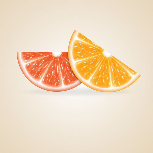 柑橘系の果物 - ベクター画像