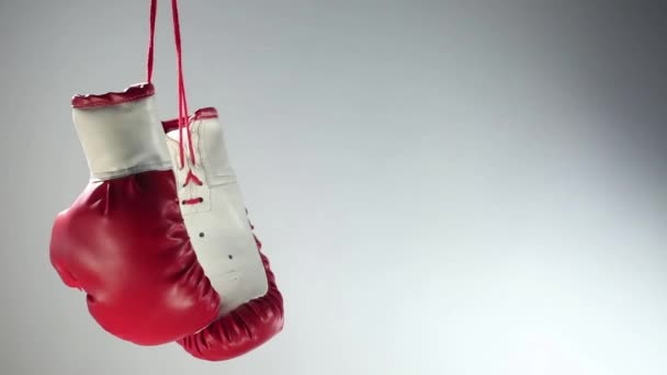 Rękawice bokserskie rotacji - Materiał filmowy, wideo