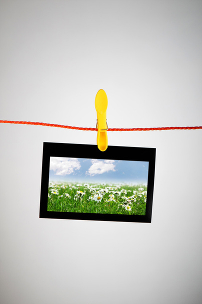 Picture frames with nature photos - Photo, Image