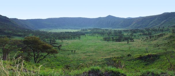 Chambura ущелини в Уганді - Фото, зображення