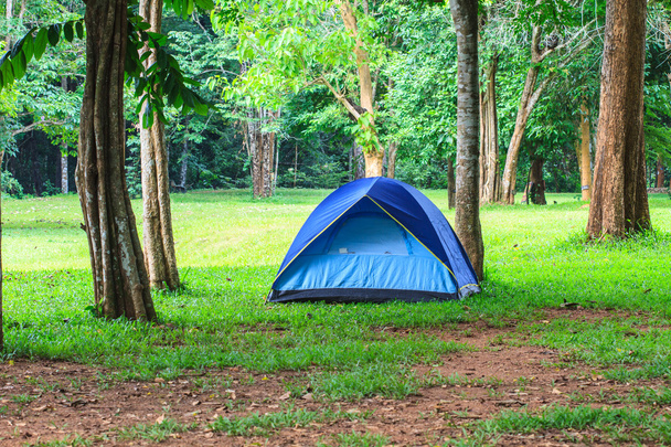 Tente colorée sur le camping
 - Photo, image