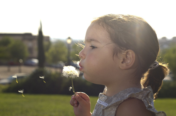 Blowing on a dandelion over green - Photo, Image