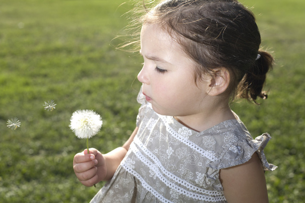 Blowing on a dandelion over green - Photo, Image