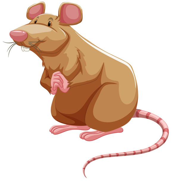 Brown rat - Vector, Image
