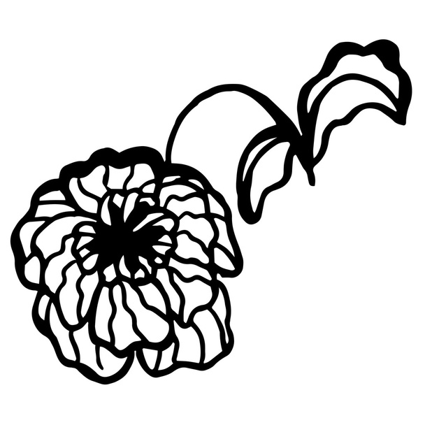 Pattern of flower background - Vektor, obrázek