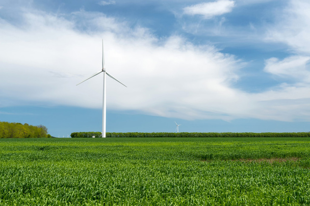 Champ vert de blé et éoliennes générant de l'électricité
 - Photo, image