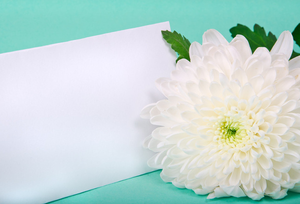 One white chrysanthemum and postcard - Foto, Imagen