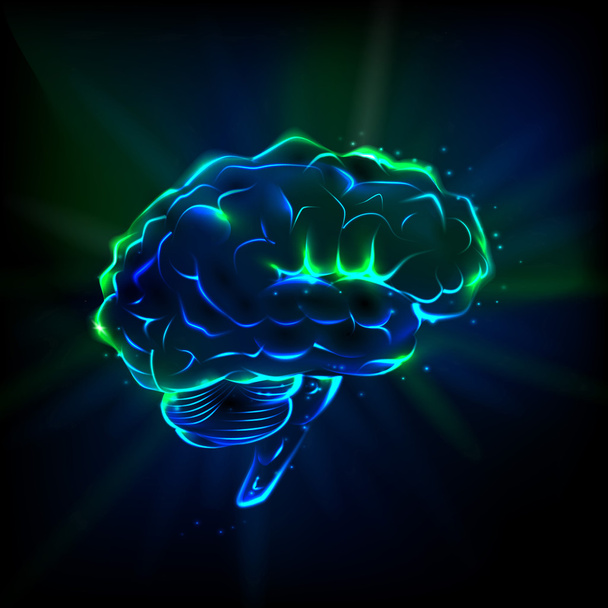 Brillante cerebro sobre un fondo oscuro
 - Vector, Imagen