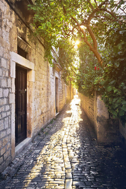 Vieilles rues en pierre de Trogir
 - Photo, image