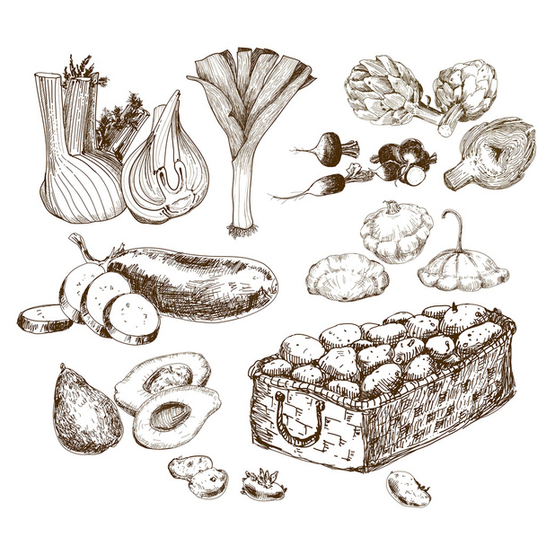 Vegetables collection. - Vector, Image
