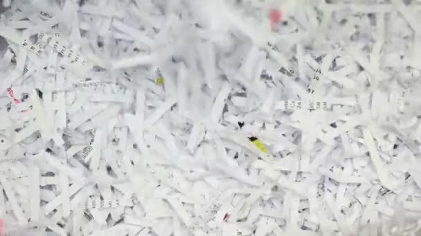 Kağıt öğütücü belgeleri parçalara kesilmiş - Video, Çekim