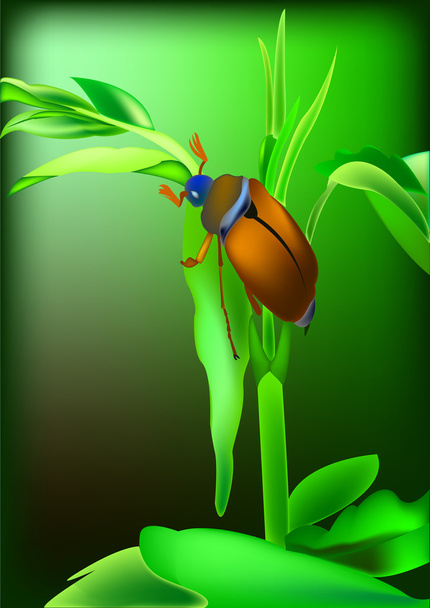 Beetle  - Vector, Image