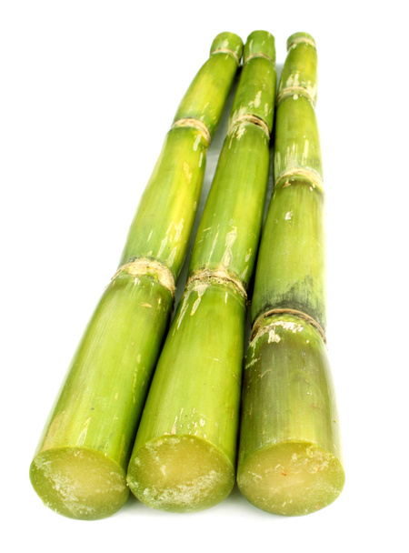 Canne à sucre verte fraîche
 - Photo, image
