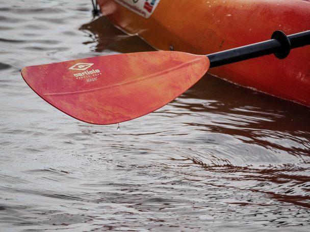 Červená pádla pro rafting a jízda na kajaku - Fotografie, Obrázek