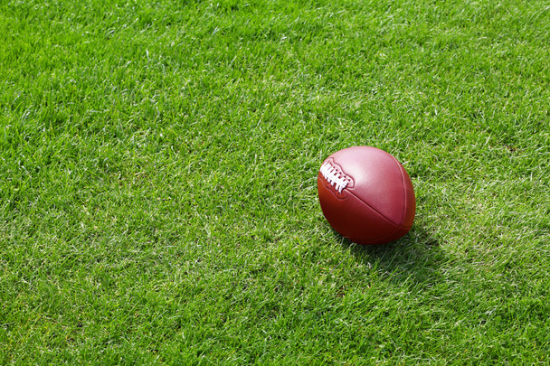Rugby-Ball auf dem Feld - Foto, Bild